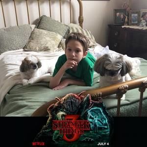 Meet your Posher, Misty